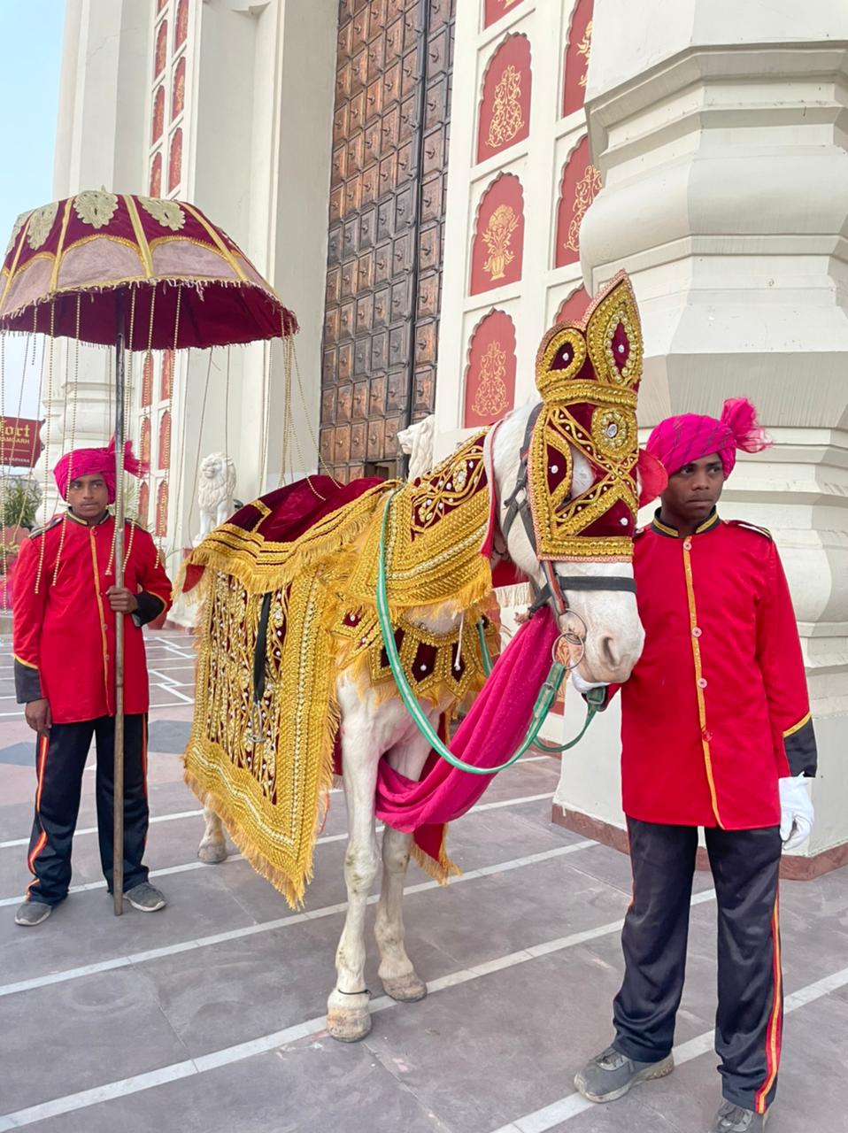 Live band for weddings Chandigarh